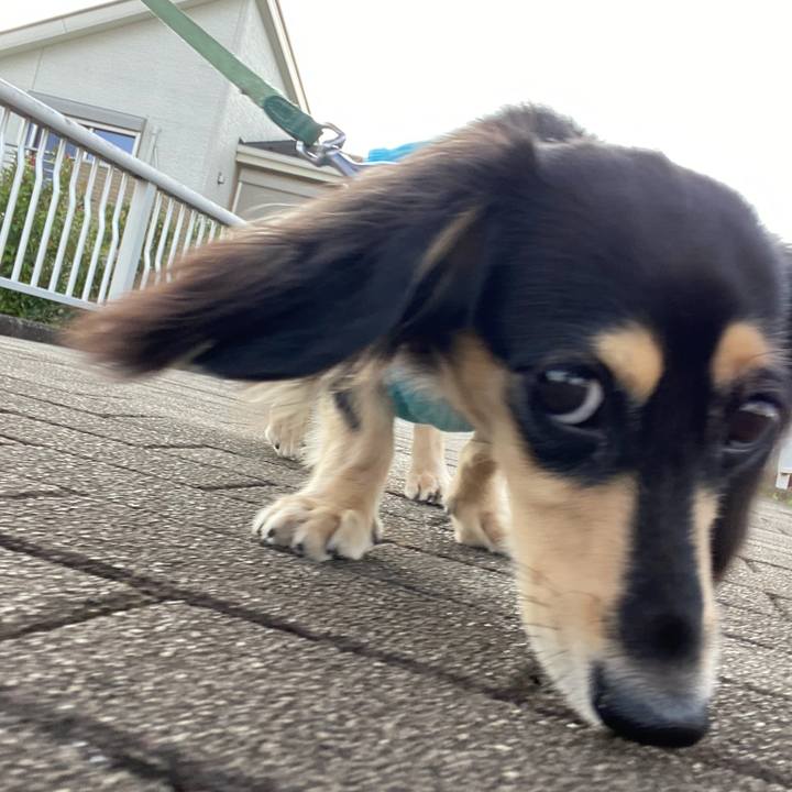 3c3bba1a 3e56 4068 8f4b d8f4e0312be6 1695166575531