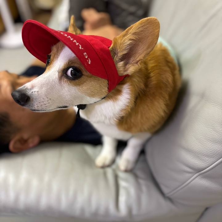 3c3bcad9 b2c4 4a32 aefc ee531674e5d4 1758812409196