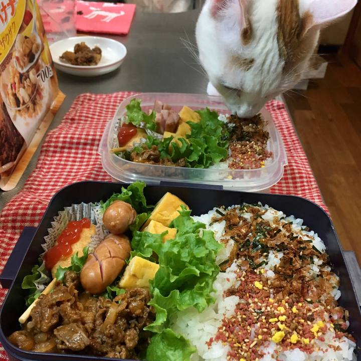 3c3bf39b 44bc 4ec8 b161 4583842e40c1 1524523440638