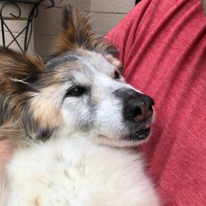 3c3c127e f908 4cd7 a8d6 6c789c436eb6 1560058604775