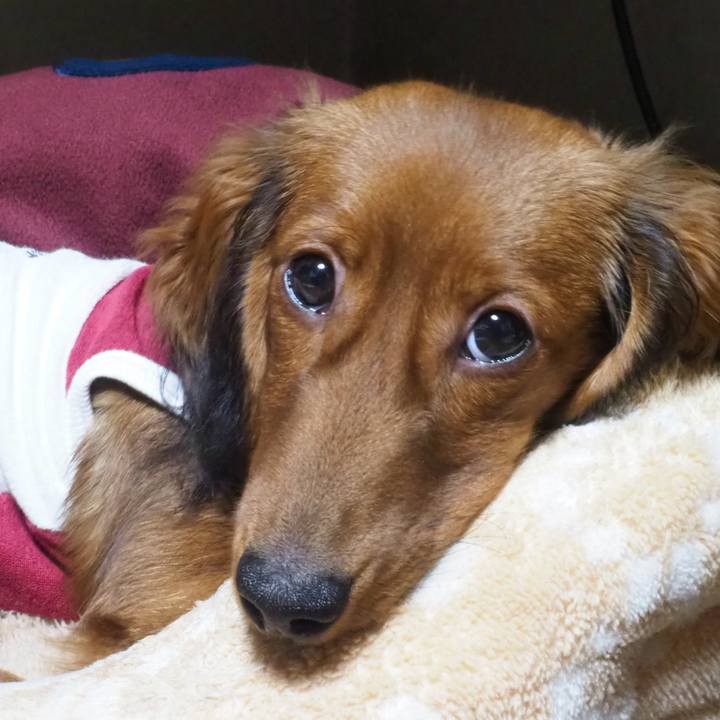 3c3c2095 d943 4156 9dd9 1841d23e21b5 1703768576164