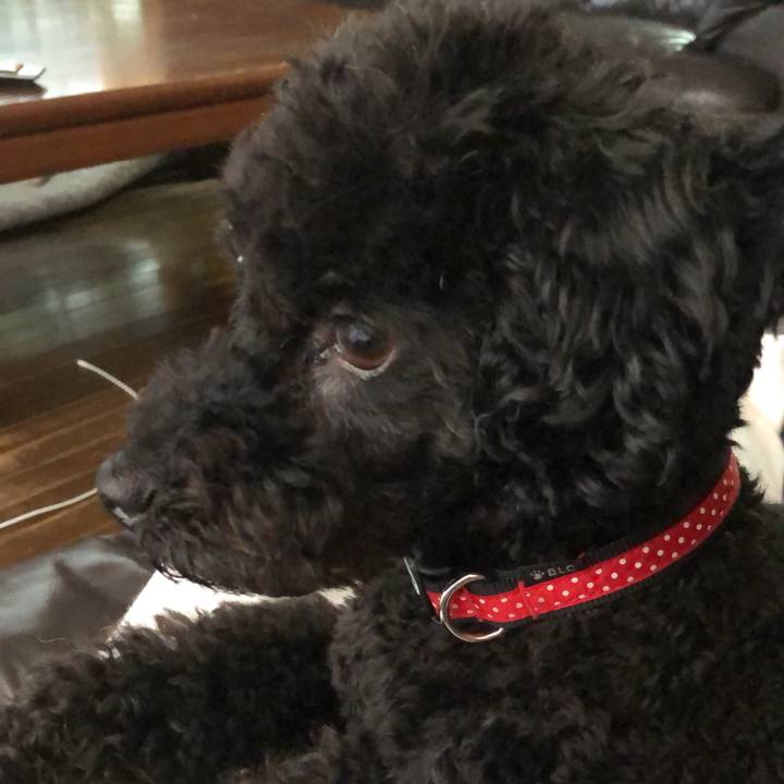 3c3c2745 fcba 404a 916a 2a00c3ceea42 1559341577295