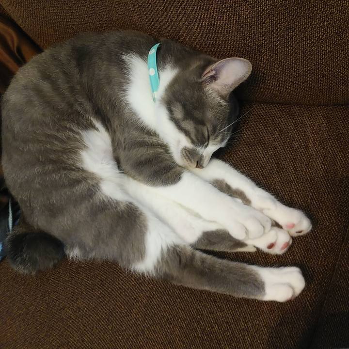 3c3c319b 76cd 49b8 af10 ead6950ade7f 1592295110756