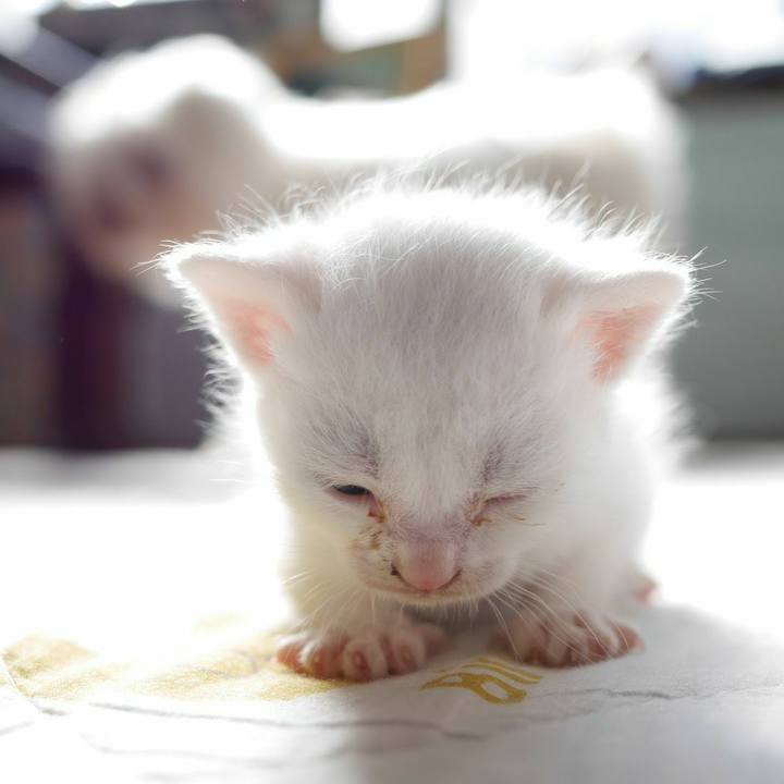 3c3c3364 2334 4d9b a5c0 ae6bc5a14e1c 1604108198895