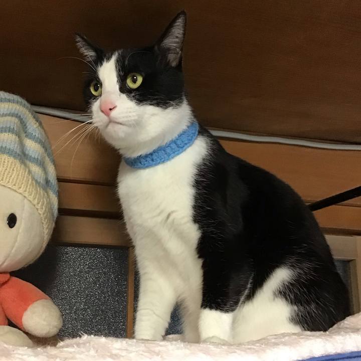 3c3c3403 6472 48ee 8184 953ed3d0d518 1746788249327