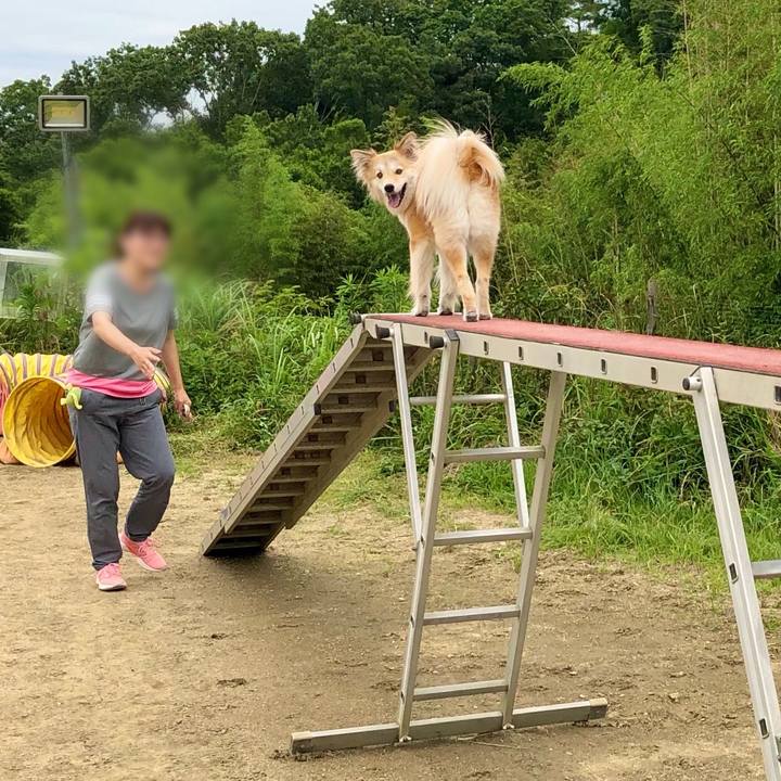 3c3c5737 49df 483f 989f 9166cf437fdd 1624013247838