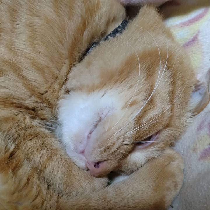 3c3c88a4 c46b 4145 bff0 a1e7db81f8d1 1669295370953