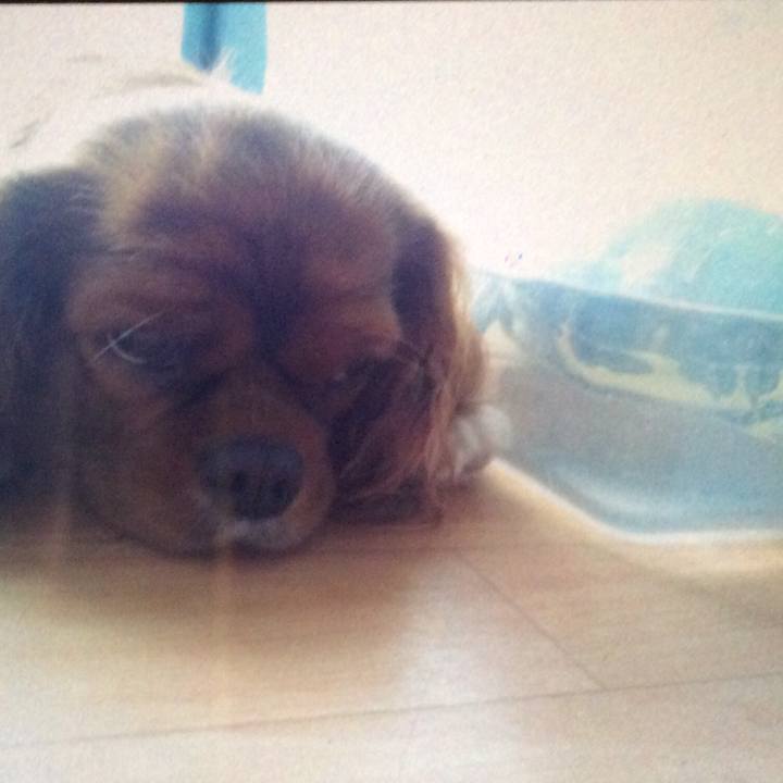 3c3ce638 9edd 4844 bb0c 689325956e72 1512339561986