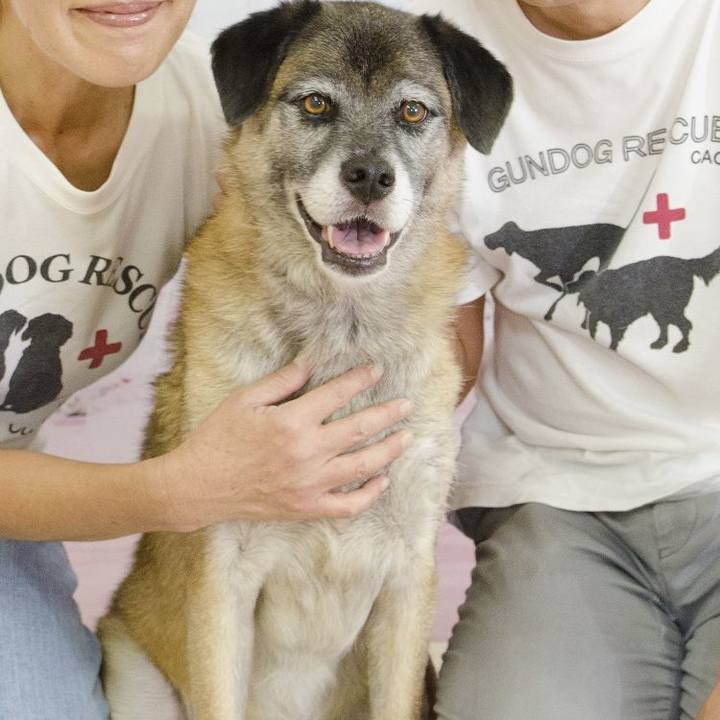 3c3ce80b fb1f 4405 91e8 db7297bc8d8f 1517311224087