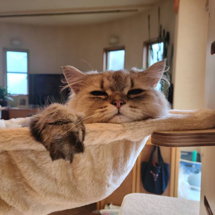 3c3cf79e 8ec9 44f3 a667 37facc9d1943 1630474774969