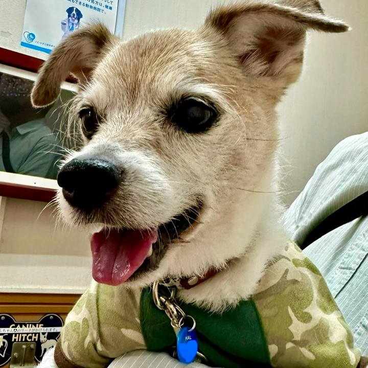 3c3d12c5 e3ae 4fb8 b880 4f639261460e 1748083846452