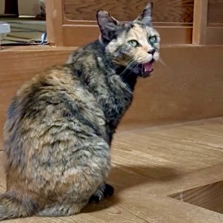 3c3d131d bdd4 48d0 96c8 b3517beb209a 1751803316561