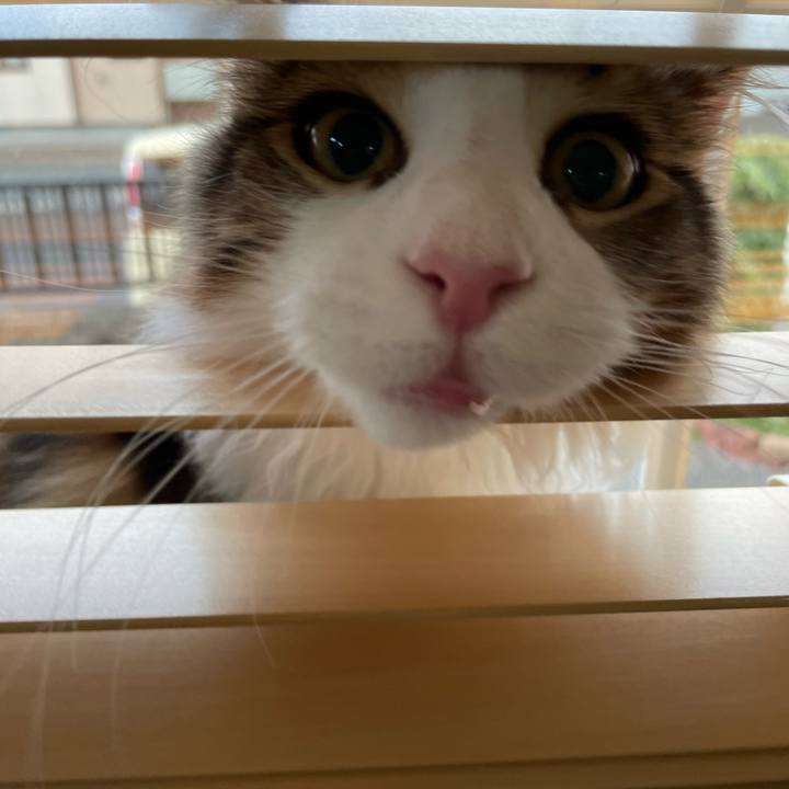 3c3d3b52 5b5b 4f4b a6de d4b35e51a920 1637621554180