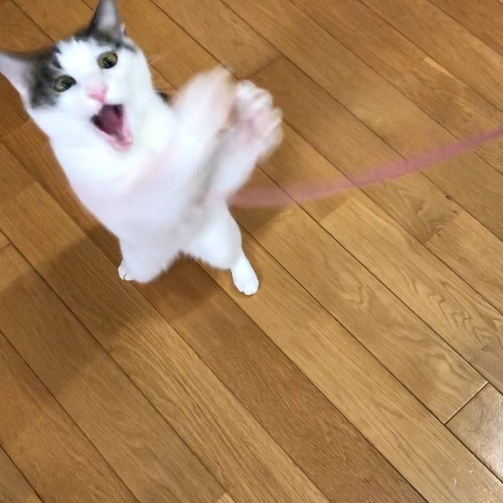 3c3d88c7 b264 49b6 95b6 a38470a42ff6 1599477169629