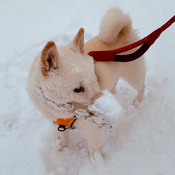 3c3dfe08 a4a7 4239 9246 4f8f917a5644 1670020395228