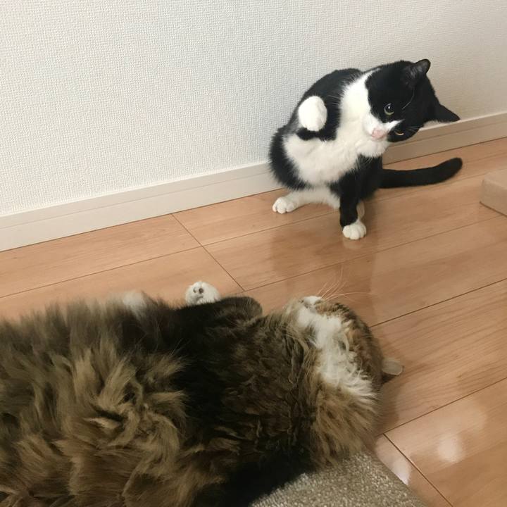 3c3dff41 81e5 4109 9e40 20011ea6f7cc 1518349045735