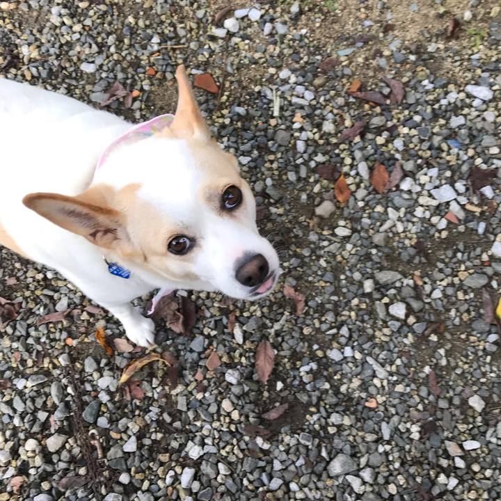 3c3e2315 4663 4205 b341 53b72fbd0d9b 1632542035278