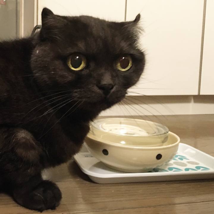 3c3e62f7 92d4 4456 9129 48c83ef4d18d 1578411283806