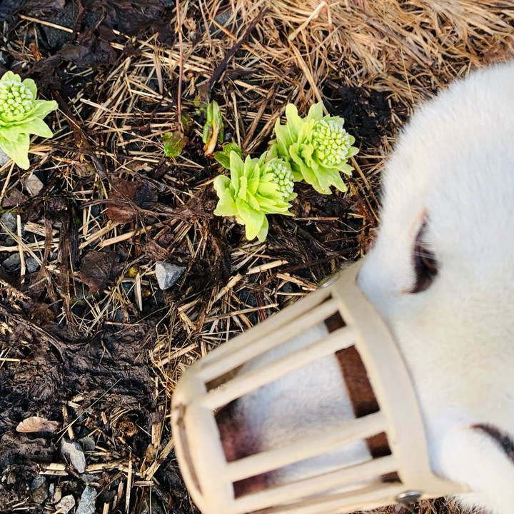 3c3e8045 876c 4ce5 afd1 53d9407a364f 1679869045055