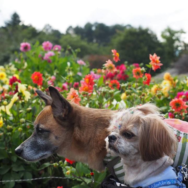 3c3ec074 796d 4a42 b26d 9f14a6022664 1757937274738