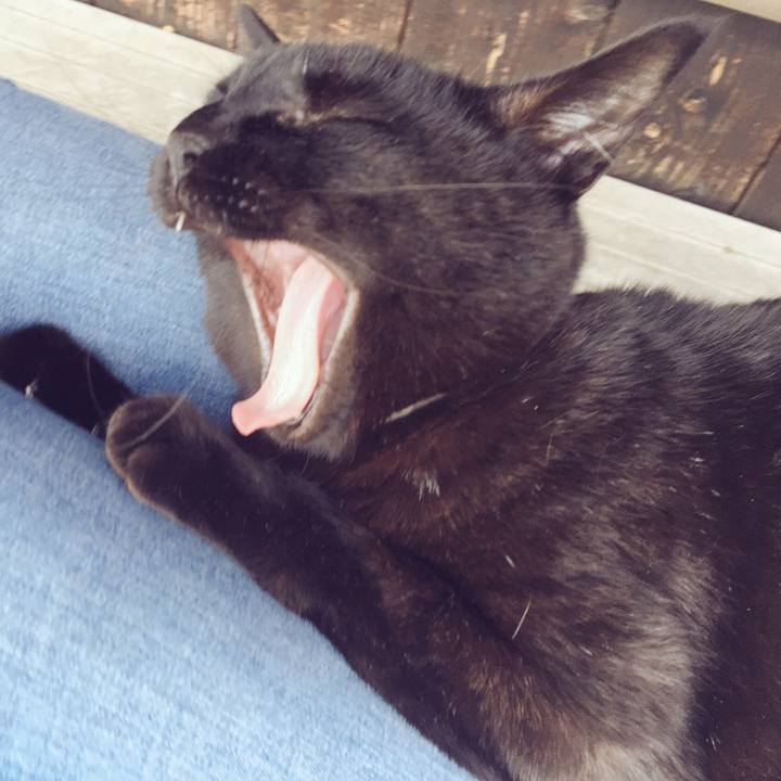 3c3edce0 8358 4e4d 99f0 c17cfda838f2 1522818921223