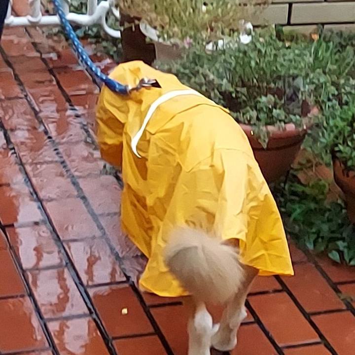 3c3efcf4 423d 4446 9996 e3cf01a9d67a 1628847780762