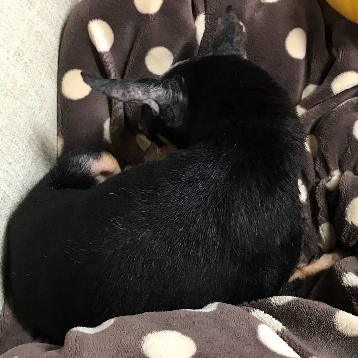 3c3f22f3 e5c7 42d1 96ef b5b52f81a777 1520161708999