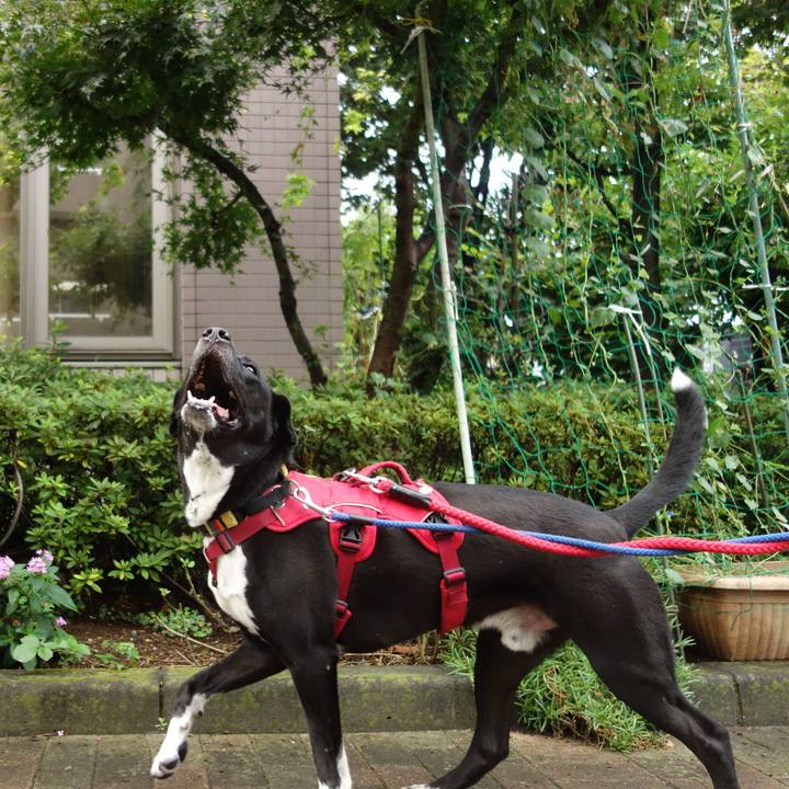 3c3f3b83 6aca 4daf 908a a8971d922bb1 1599350289337