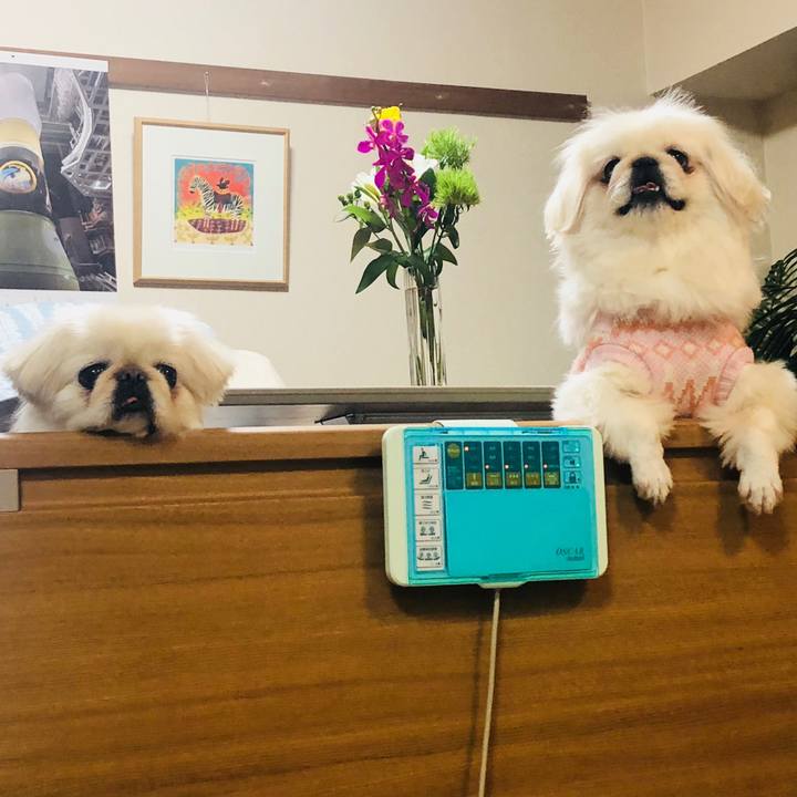 3c3f6a1c 2b12 4c7d 8ac5 6f530f0c4501 1549125136744