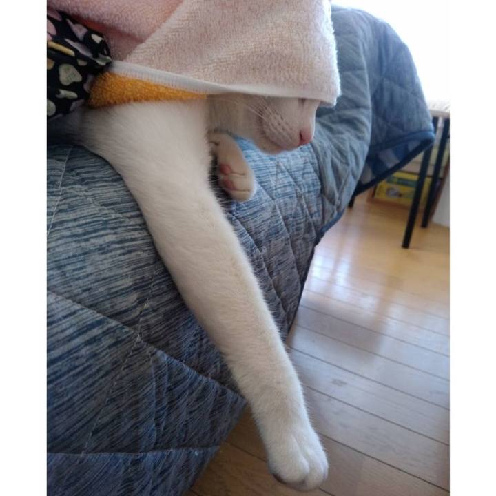 3c3f6e47 87d2 4d6e b87e 939539aed88e 1662608648669