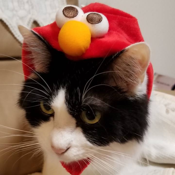 3c3f96cb 4709 45ed a6b3 7f8f8ba74d8e 1572736549091