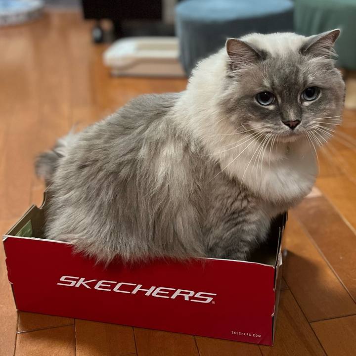 3c3fdf0b 41b0 4b3c 9c2e b5d93ab8be72 1668340154364