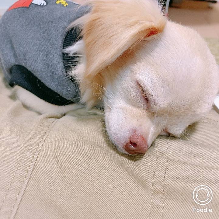 3c402491 2a4a 4f49 85c4 71c48f2afabf 1602119198588