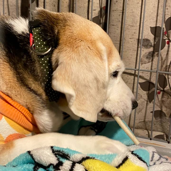 3c404042 e705 466b b7f5 36220e1da72c 1642250864829