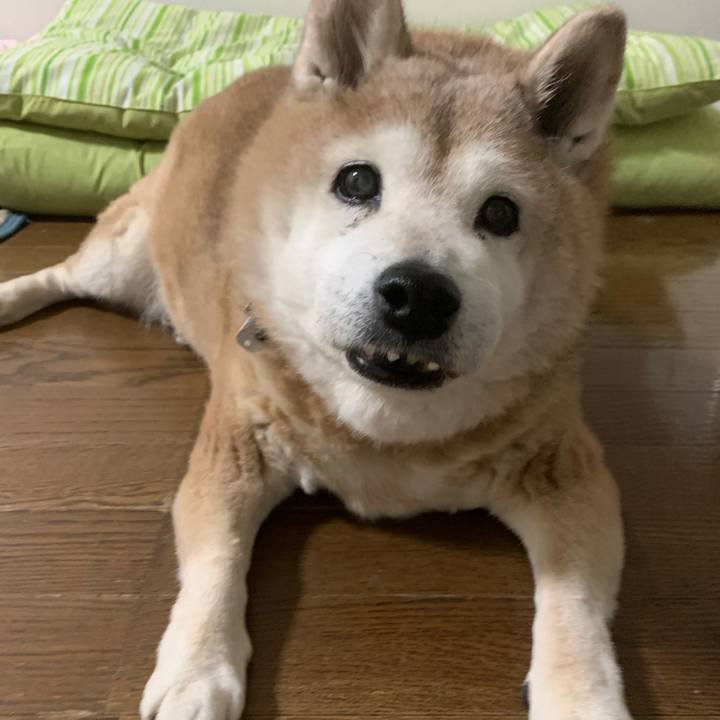 3c40414a 31a5 42a9 bb95 38dbe869476b 1644142307879