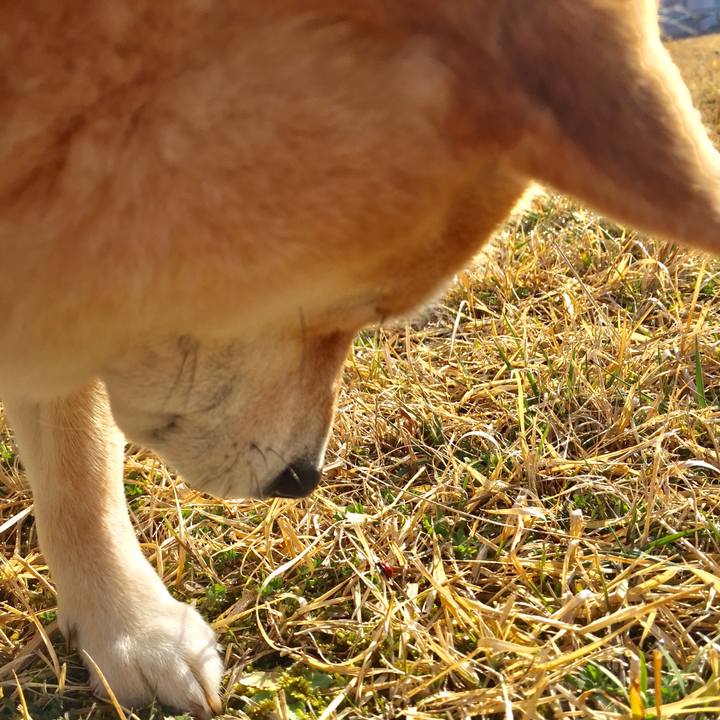 3c405428 9723 4f41 91a0 6d0bf40f4566 1521027265905