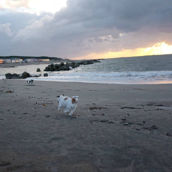 3c409cec 89eb 42dd 90a5 9a5c3cd04d55 1540787980489