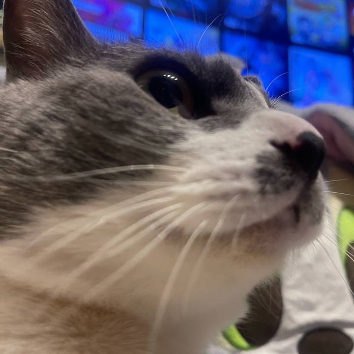 3c40d026 097f 4a8b acab 12e1fd1e0b7b 1747151057259