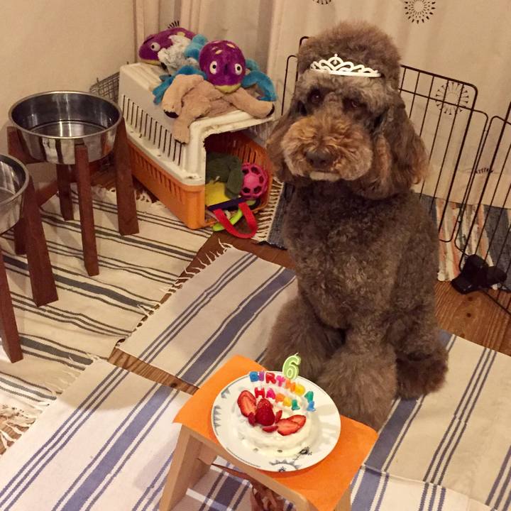 3c40f5ce 7007 497c a8ac ba923d5d90ba 1523349357781