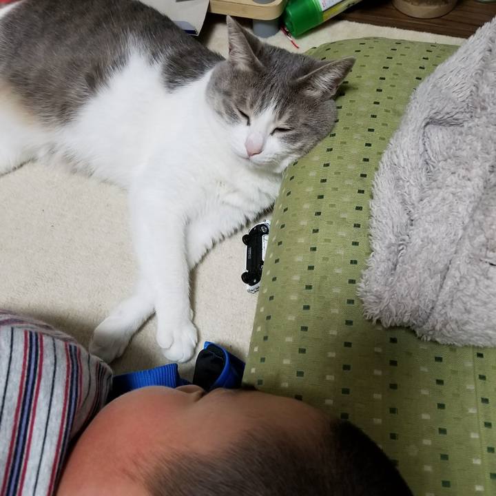 3c40f675 83c1 418c 90f8 e67412a822ee 1519216775386