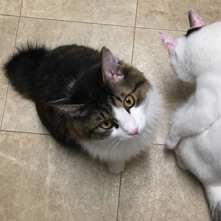 3c416077 18ee 45ad 9d6c 8796c52c09c2 1529555097458