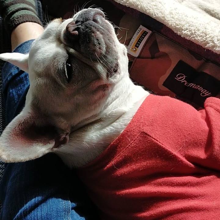 3c416410 c77f 4076 b666 f55044002bc6 1666911557610