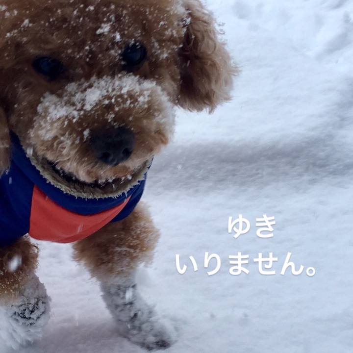 3c4179bb fec1 47b9 8d2e 0d3fdf010a00 1575382829204