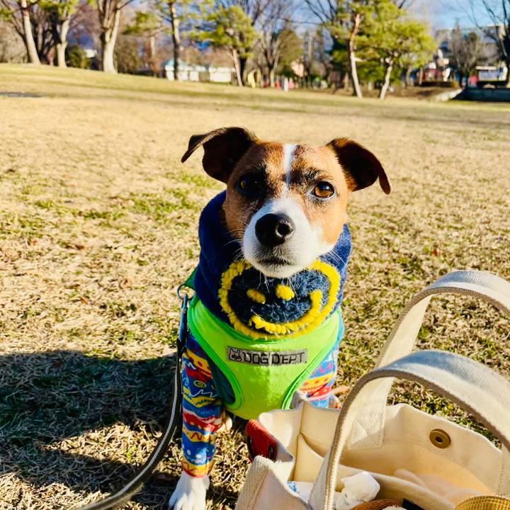 3c4186bb 0d1d 4d84 9d35 40fd88e07e62 1740634975526