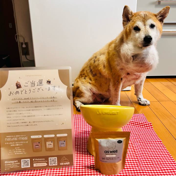 3c41c09f f96d 4172 84d0 a811669a28fa 1760516685895