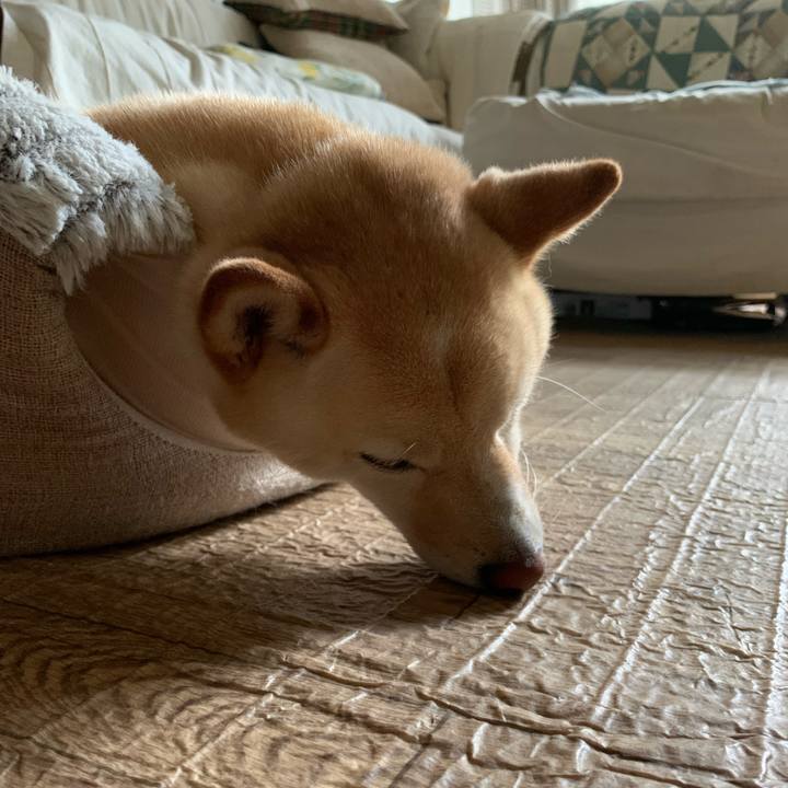 3c41d2aa ef96 4e8c ba30 e036198f3435 1657771453828