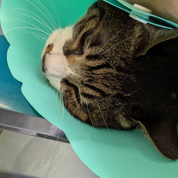 3c41d75b 00df 447a be9b d7837b99c82d 1745506749862