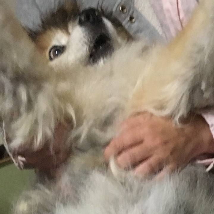 3c4211ac ef79 4093 9d46 85c2ed76df28 1594946534555