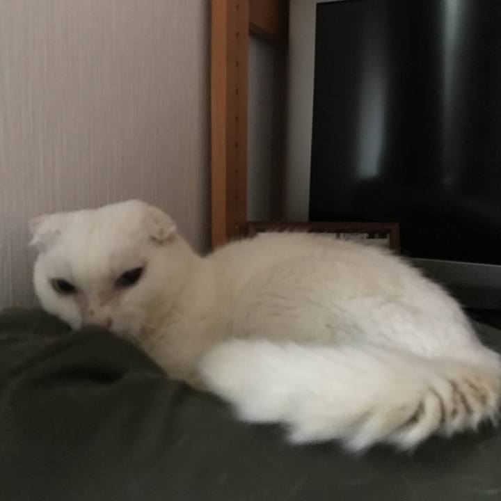 3c423750 1443 4e2b a604 b3507df03683 1536961574573