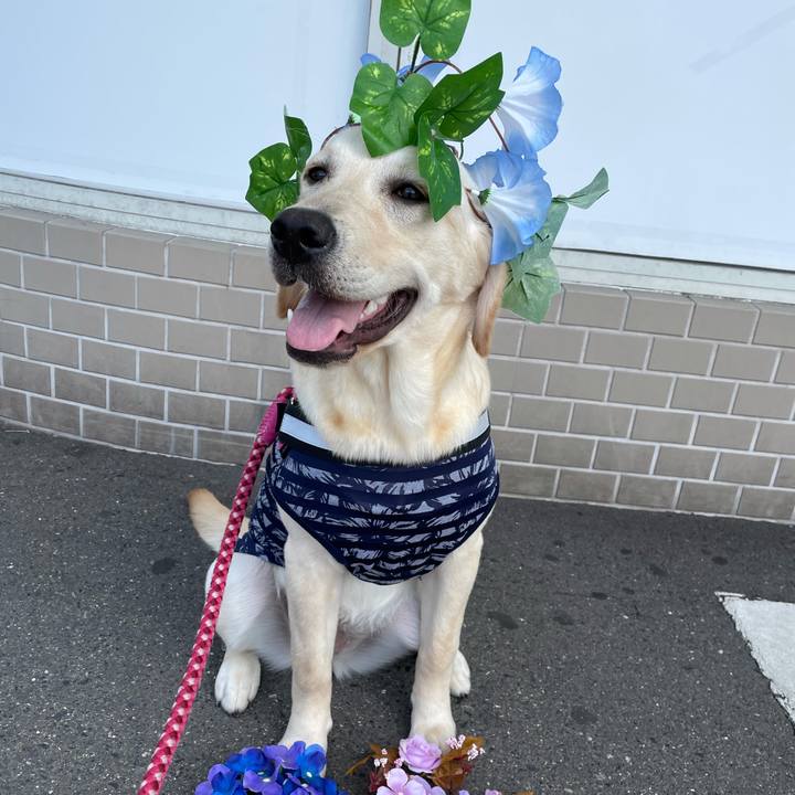 3c425f5a b208 4410 ab76 540bbbcf7592 1624262297513